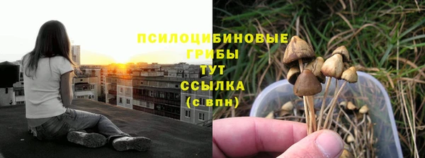 гидра Алексин