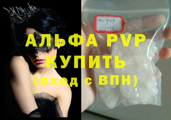 гидра Алексин