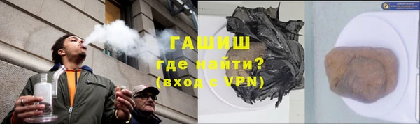 гидра Алексин