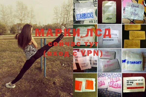 гидра Алексин