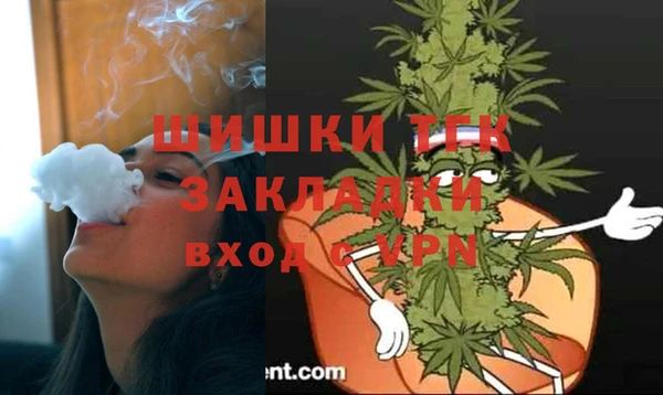 PSILOCYBIN Осташков