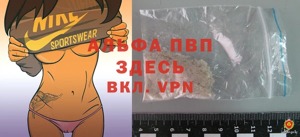 гидра Алексин