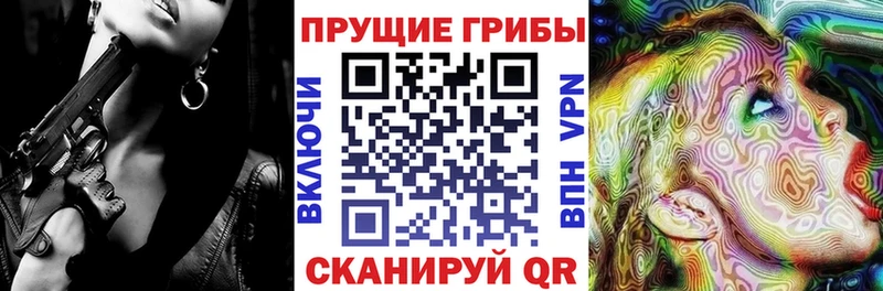 купить наркотик Усть-Илимск ОМГ ОМГ ТОР Галлюциногенные грибы Cubensis