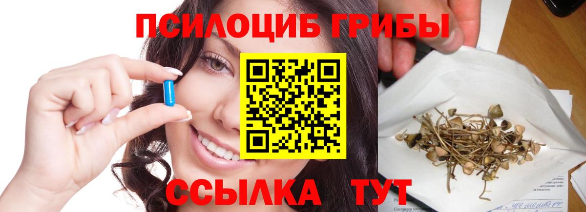 Усть-Илимск  Псилоцибиновые грибы мицелий  даркнет сайт  Галлюциногенные грибы прущие грибы  Вход с VPN 